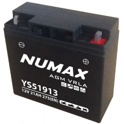 Numax YG51913